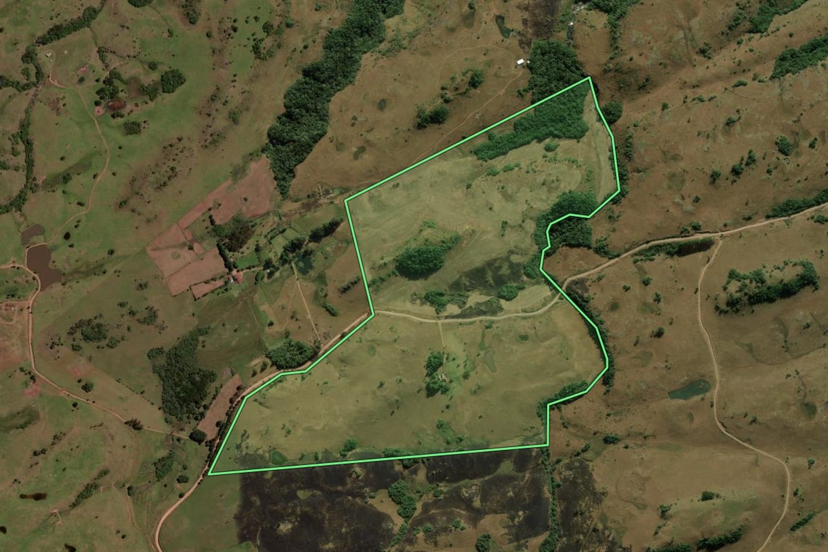 Imagem de satélite do imóvel rural em São Francisco de Paula (RS), com o contorno declarado no CAR desenhado por cima.