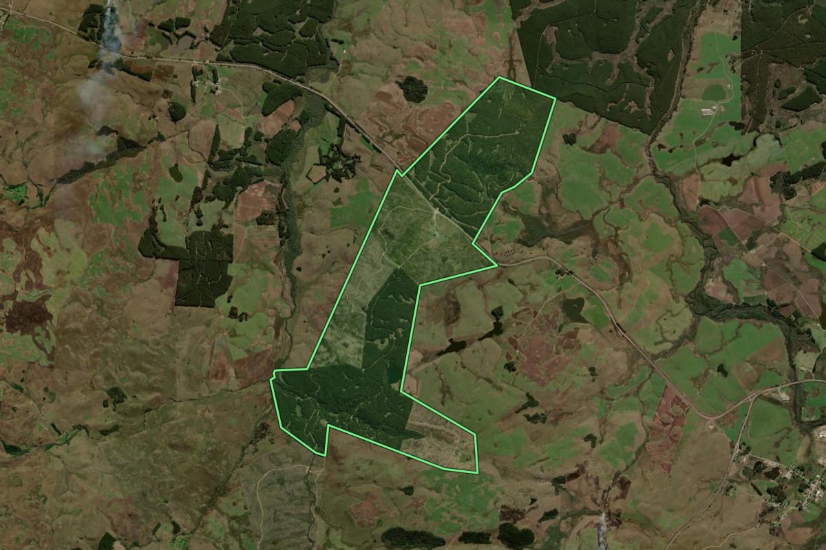 Imagem de satélite do imóvel rural em São Francisco de Paula (RS), com o contorno declarado no CAR desenhado por cima.