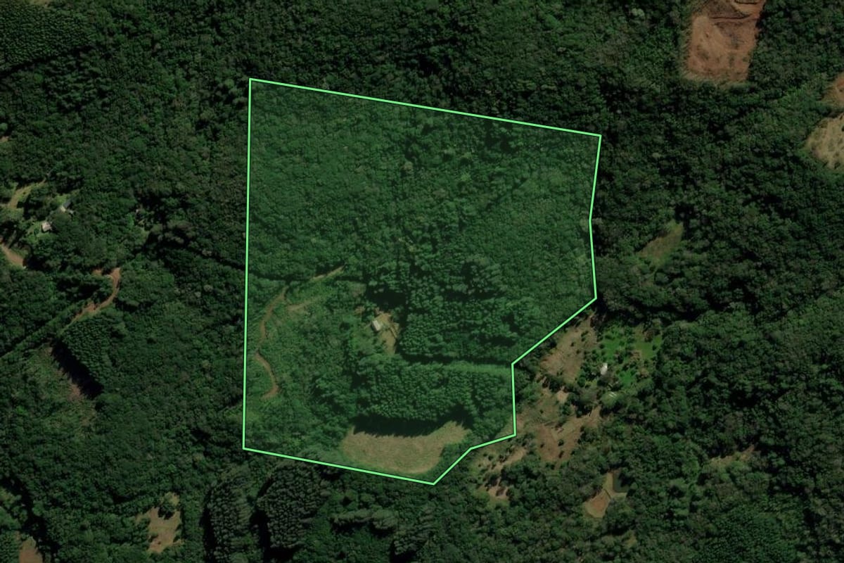 Imagem de satélite do imóvel rural em São Francisco de Paula (RS), com o contorno declarado no CAR desenhado por cima.