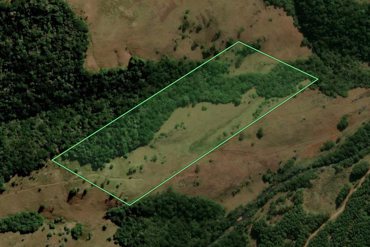 Imagem de satélite do imóvel rural em São Francisco de Paula (RS), com o contorno declarado no CAR desenhado por cima.