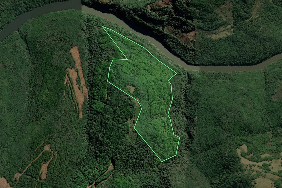 Imagem de satélite do imóvel rural em São Francisco de Paula (RS), com o contorno declarado no CAR desenhado por cima.
