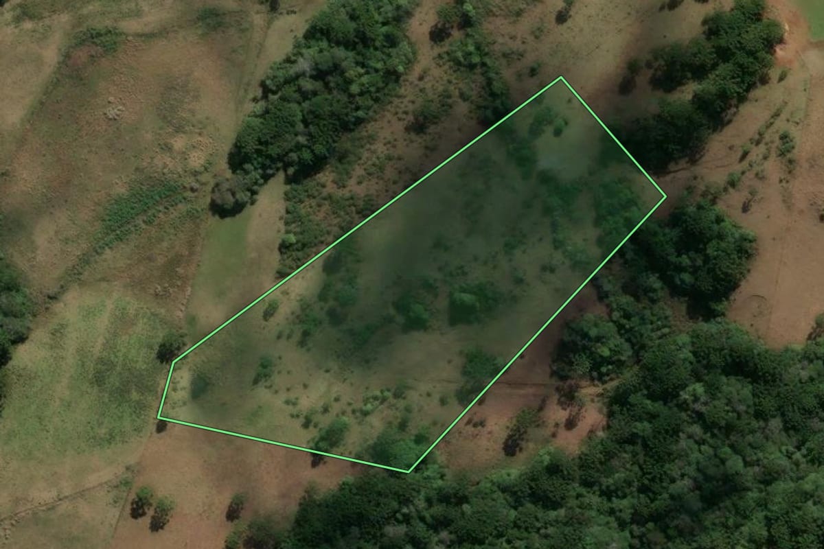 Imagem de satélite do imóvel rural em São Francisco de Paula (RS), com o contorno declarado no CAR desenhado por cima.