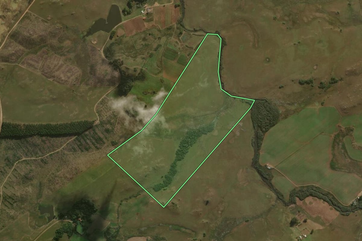 Imagem de satélite do imóvel rural em São Francisco de Paula (RS), com o contorno declarado no CAR desenhado por cima.