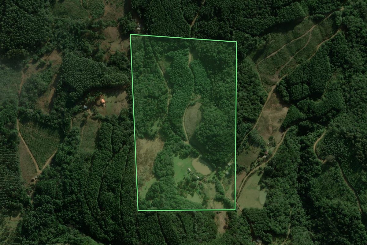 Imagem de satélite do imóvel rural em São Francisco de Paula (RS), com o contorno declarado no CAR desenhado por cima.