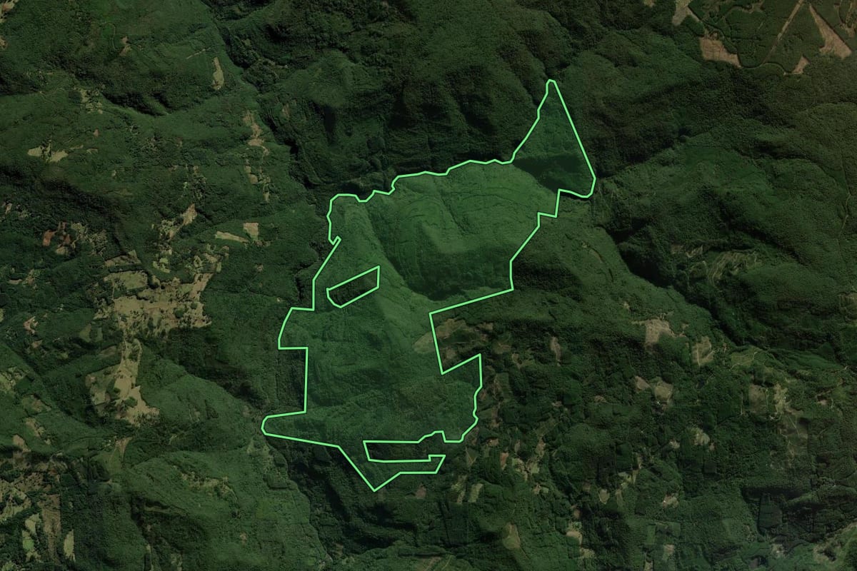 Imagem de satélite do imóvel rural em São Francisco de Paula (RS), com o contorno declarado no CAR desenhado por cima.