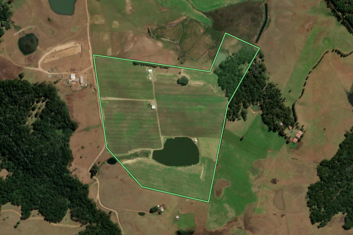 Imagem de satélite do imóvel rural em São Francisco de Paula (RS), com o contorno declarado no CAR desenhado por cima.