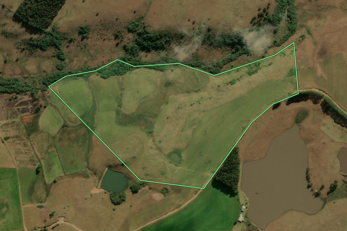 Imagem de satélite do imóvel rural em São Francisco de Paula (RS), com o contorno declarado no CAR desenhado por cima.