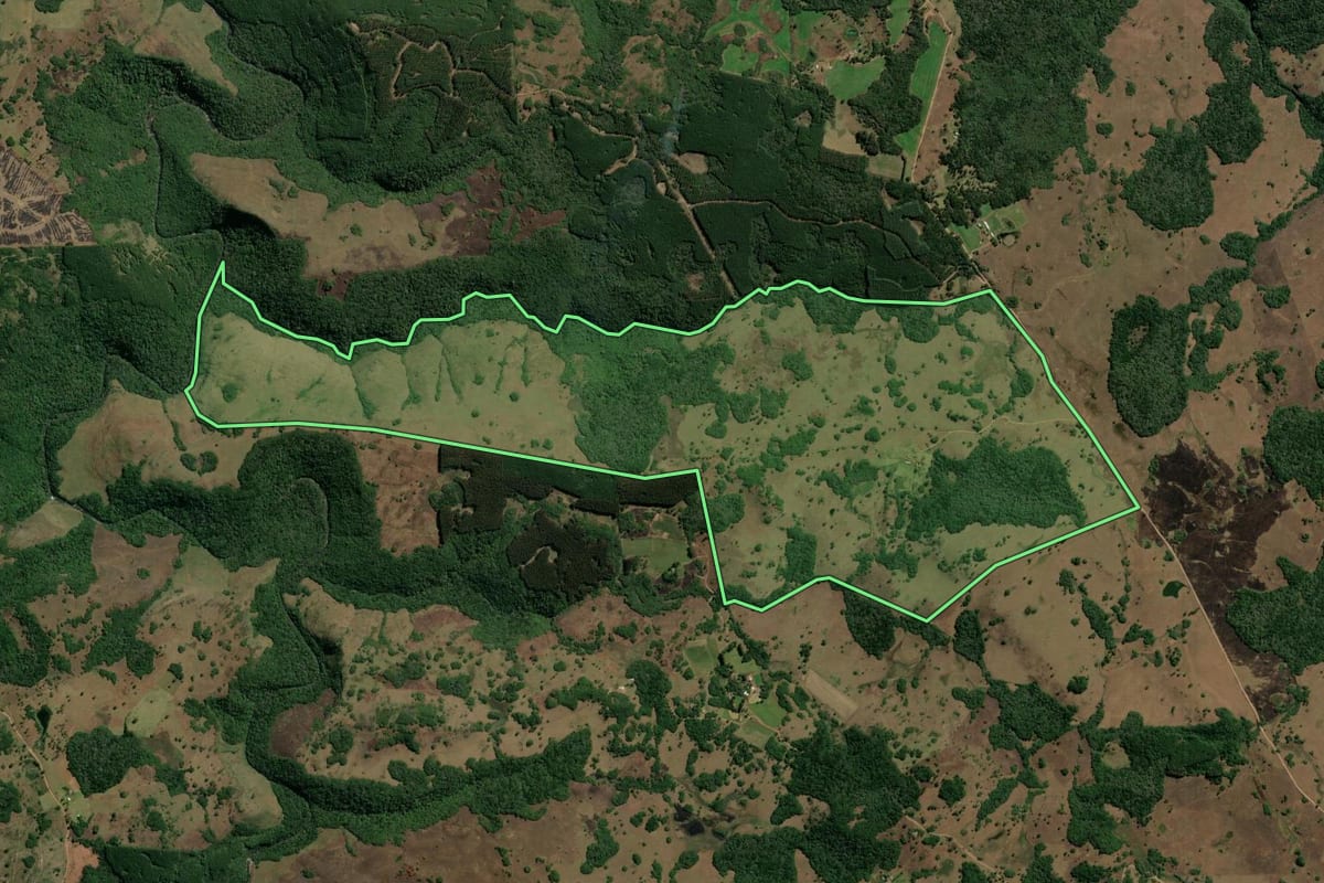 Imagem de satélite do imóvel rural em São Francisco de Paula (RS), com o contorno declarado no CAR desenhado por cima.