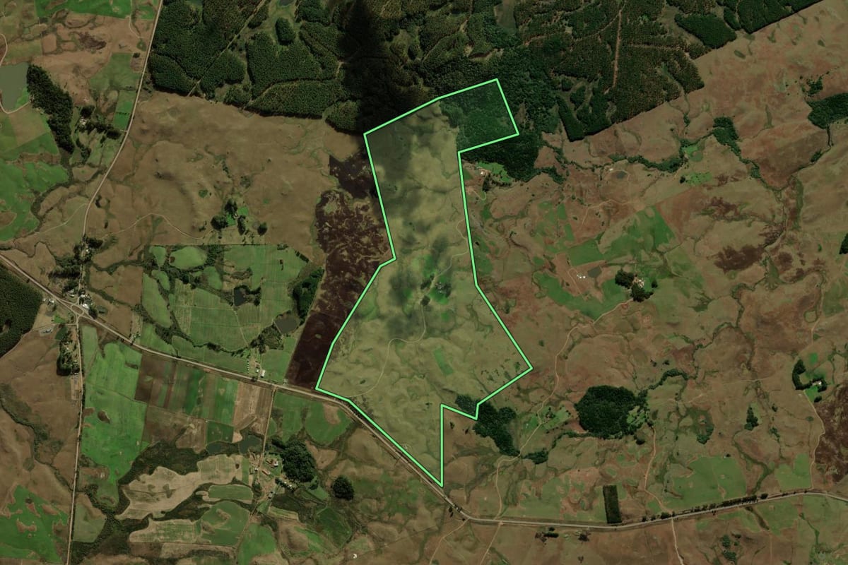 Imagem de satélite do imóvel rural em São Francisco de Paula (RS), com o contorno declarado no CAR desenhado por cima.