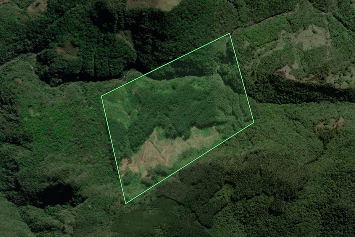 Imagem de satélite do imóvel rural em São Francisco de Paula (RS), com o contorno declarado no CAR desenhado por cima.