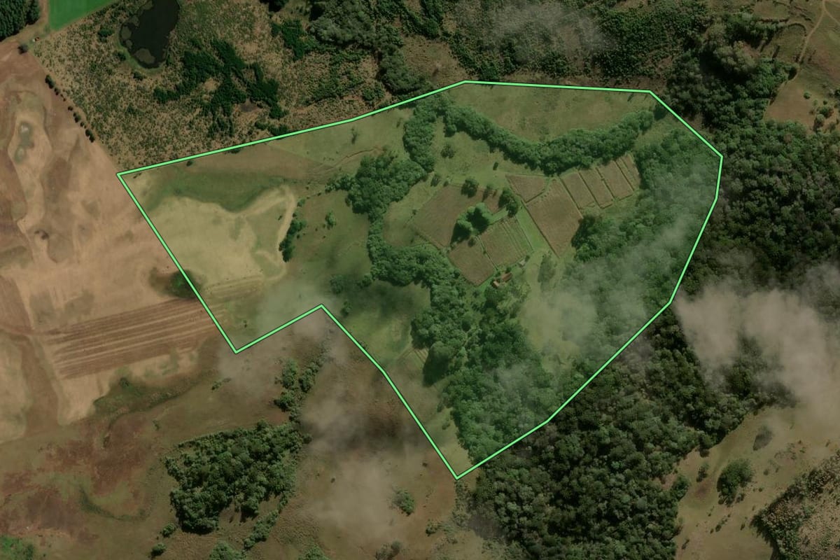 Imagem de satélite do imóvel rural em São Francisco de Paula (RS), com o contorno declarado no CAR desenhado por cima.