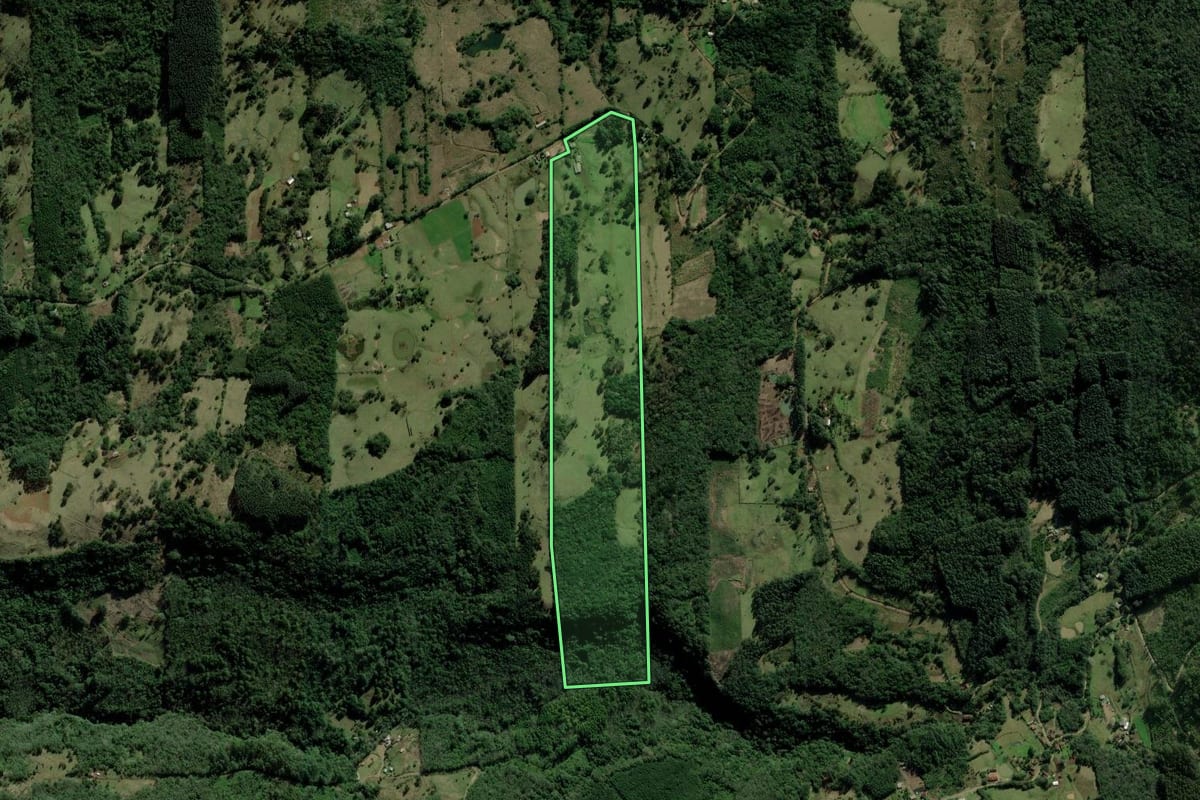 Imagem de satélite do imóvel rural em São Francisco de Paula (RS), com o contorno declarado no CAR desenhado por cima.