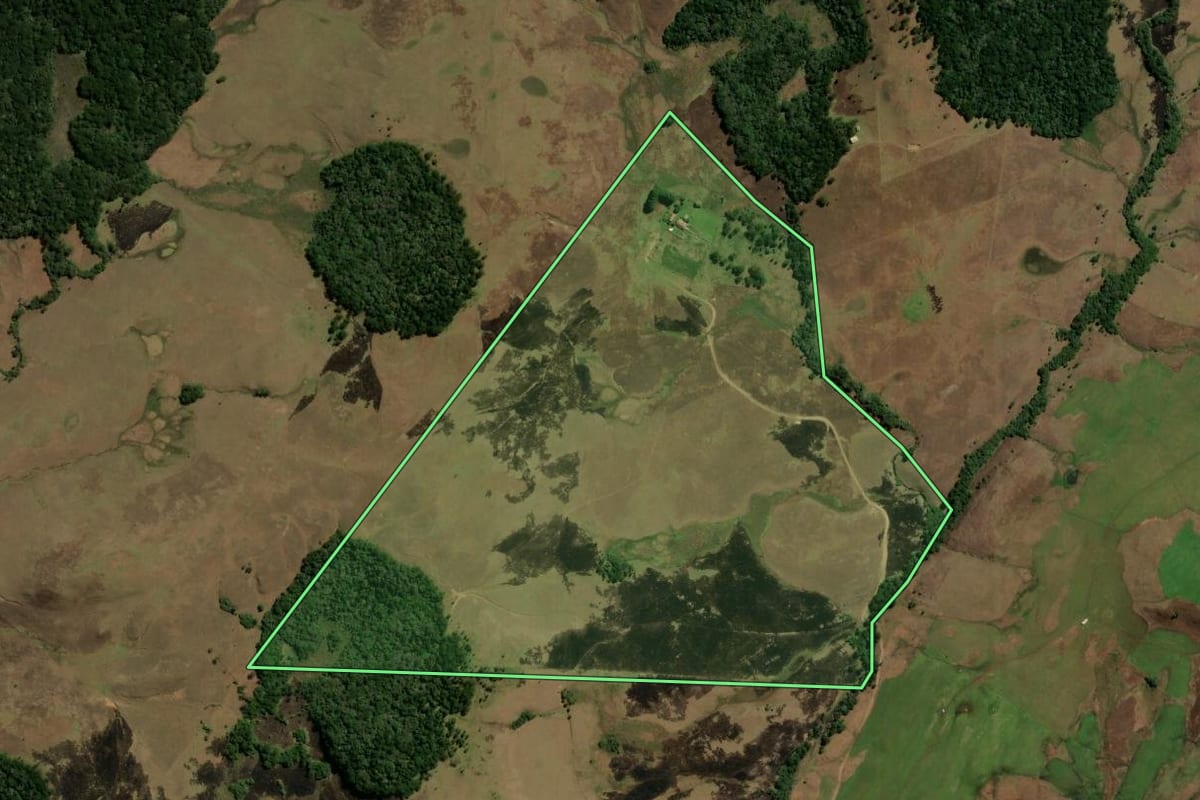 Imagem de satélite do imóvel rural em São Francisco de Paula (RS), com o contorno declarado no CAR desenhado por cima.