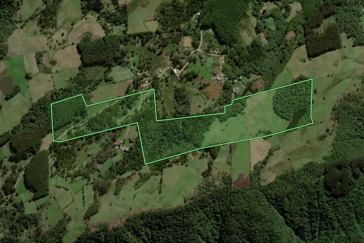 Imagem de satélite do imóvel rural em São Francisco de Paula (RS), com o contorno declarado no CAR desenhado por cima.