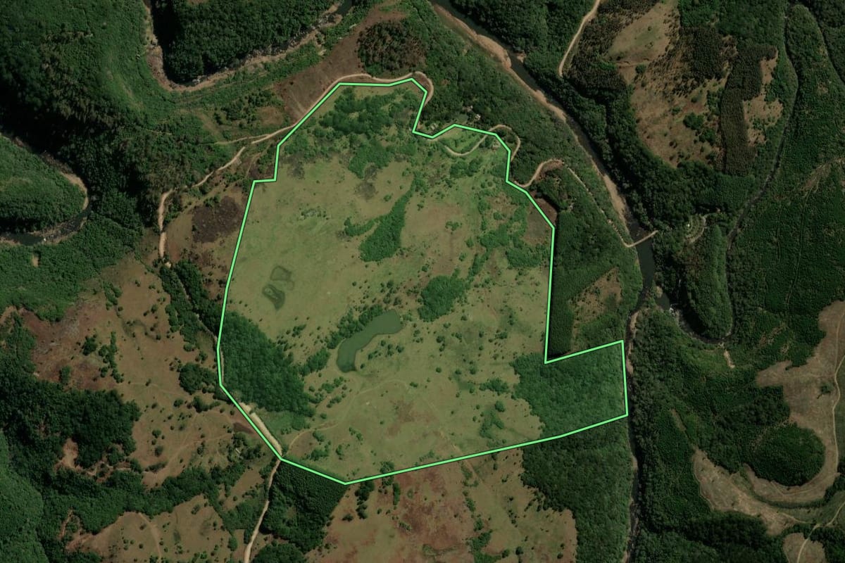 Imagem de satélite do imóvel rural em São Francisco de Paula (RS), com o contorno declarado no CAR desenhado por cima.