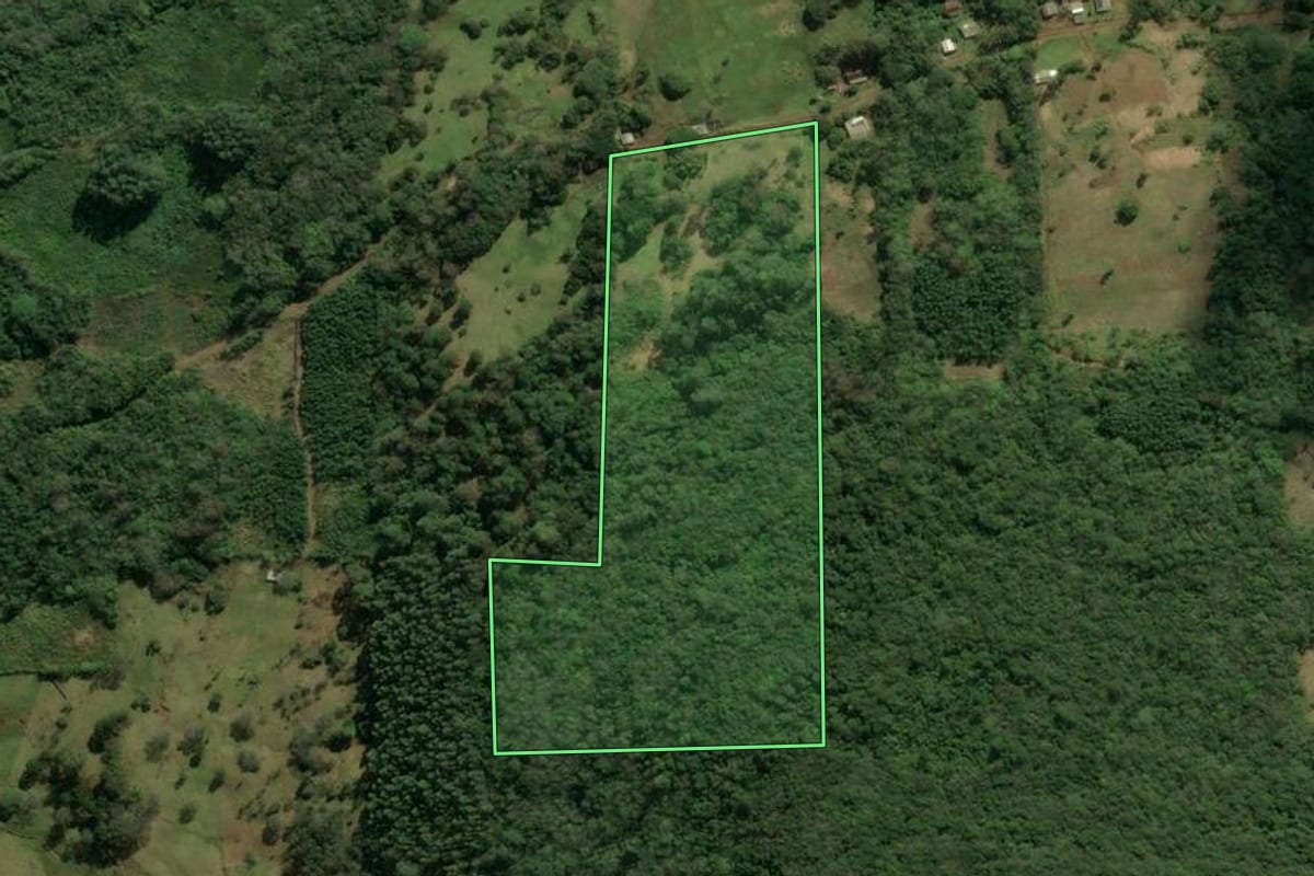 Imagem de satélite do imóvel rural em São Francisco de Paula (RS), com o contorno declarado no CAR desenhado por cima.