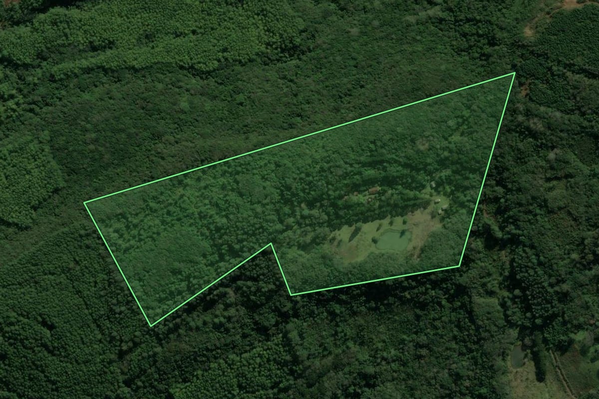 Imagem de satélite do imóvel rural em São Francisco de Paula (RS), com o contorno declarado no CAR desenhado por cima.