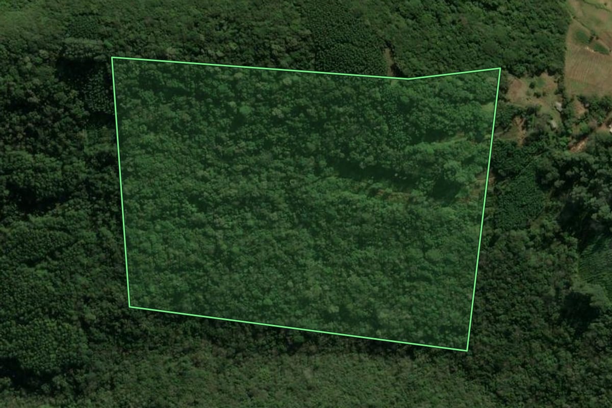 Imagem de satélite do imóvel rural em São Francisco de Paula (RS), com o contorno declarado no CAR desenhado por cima.