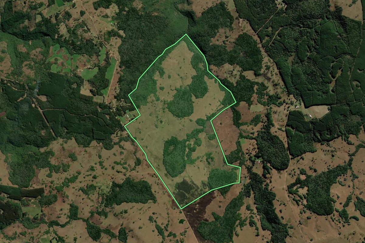 Imagem de satélite do imóvel rural em São Francisco de Paula (RS), com o contorno declarado no CAR desenhado por cima.