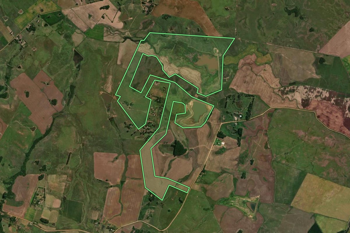Imagem de satélite do imóvel rural em São Gabriel (RS), com o contorno declarado no CAR desenhado por cima.