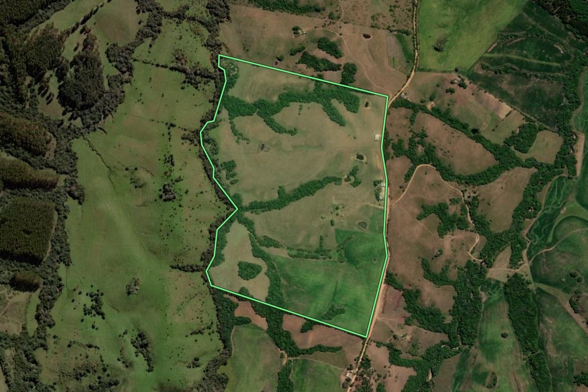 Imagem de satélite do imóvel rural em São Gabriel (RS), com o contorno declarado no CAR desenhado por cima.
