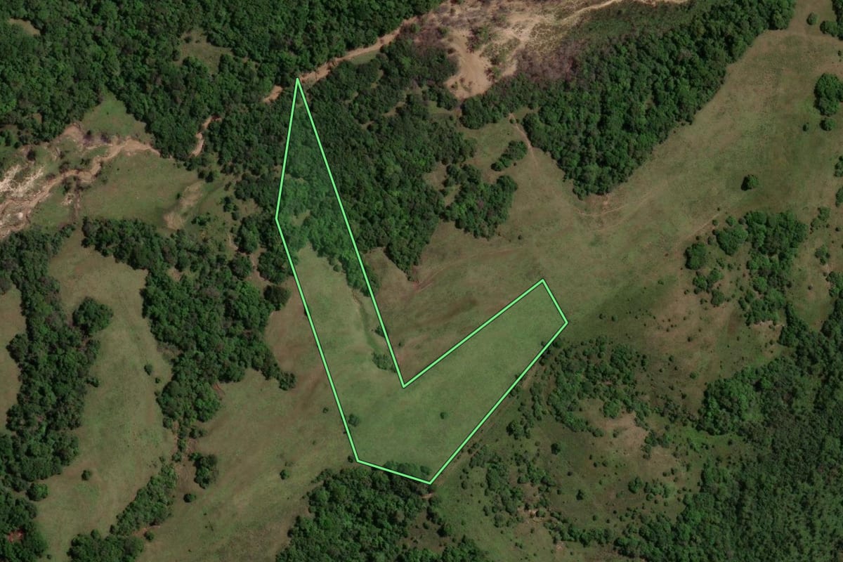 Imagem de satélite do imóvel rural em São Gabriel (RS), com o contorno declarado no CAR desenhado por cima.