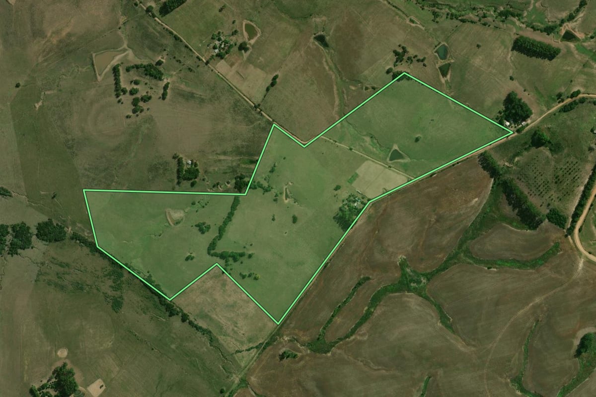 Imagem de satélite do imóvel rural em São Gabriel (RS), com o contorno declarado no CAR desenhado por cima.