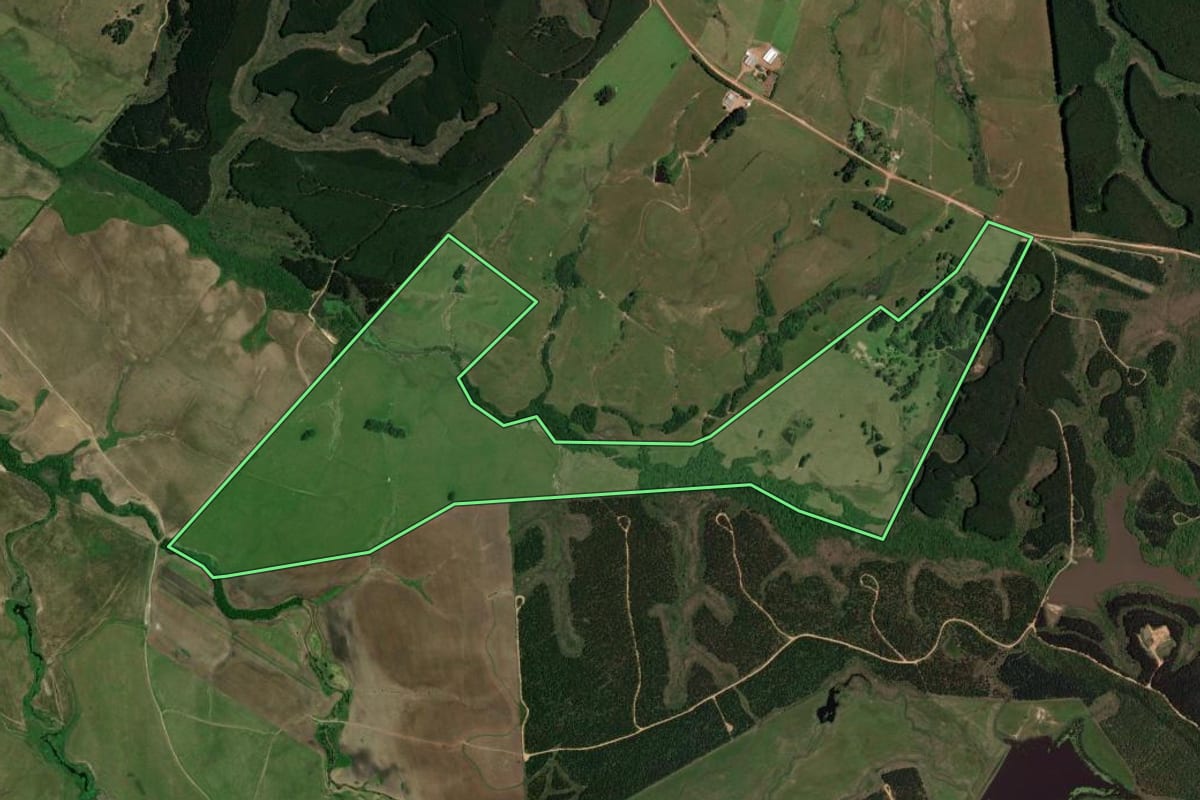 Imagem de satélite do imóvel rural em São Gabriel (RS), com o contorno declarado no CAR desenhado por cima.