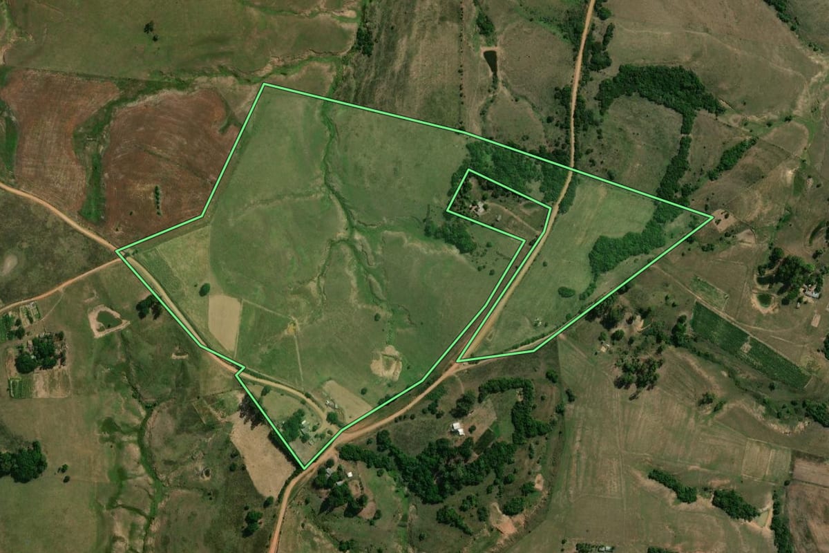 Imagem de satélite do imóvel rural em São Gabriel (RS), com o contorno declarado no CAR desenhado por cima.