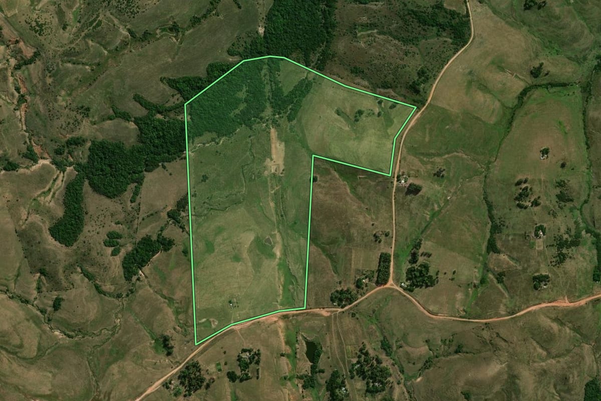 Imagem de satélite do imóvel rural em São Gabriel (RS), com o contorno declarado no CAR desenhado por cima.
