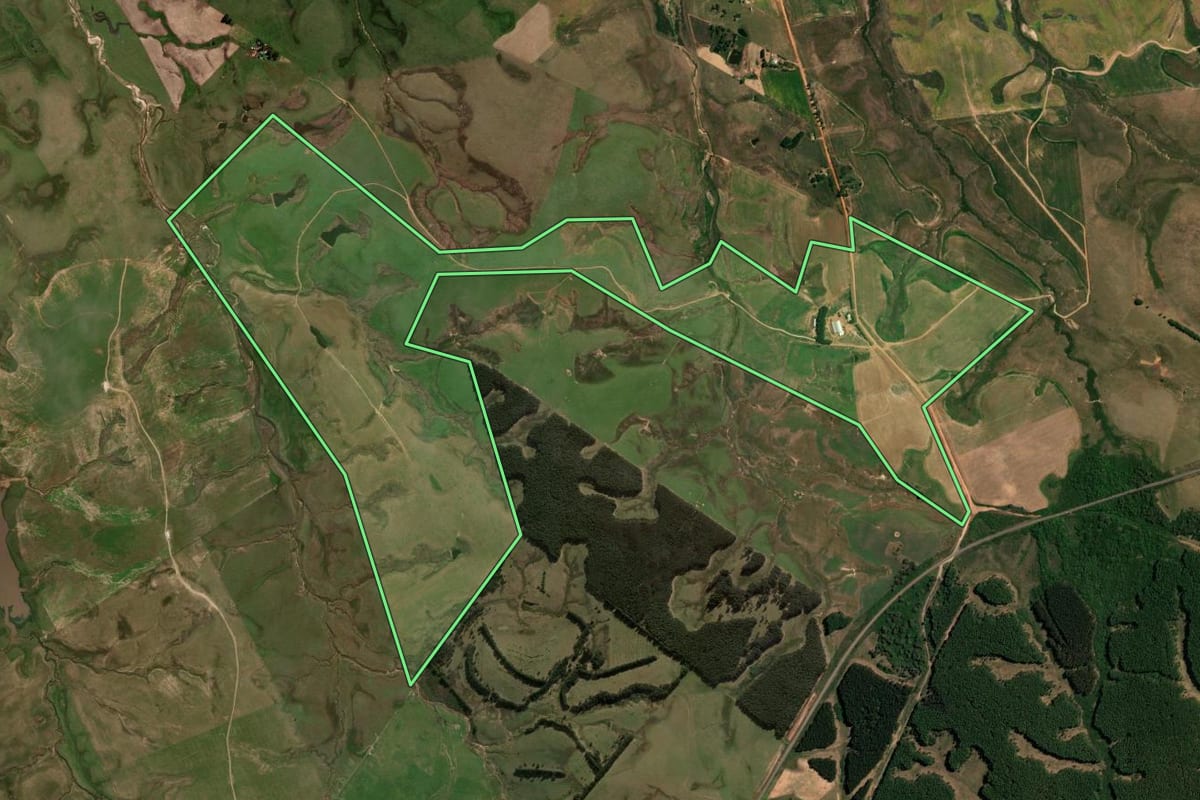 Imagem de satélite do imóvel rural em São Gabriel (RS), com o contorno declarado no CAR desenhado por cima.