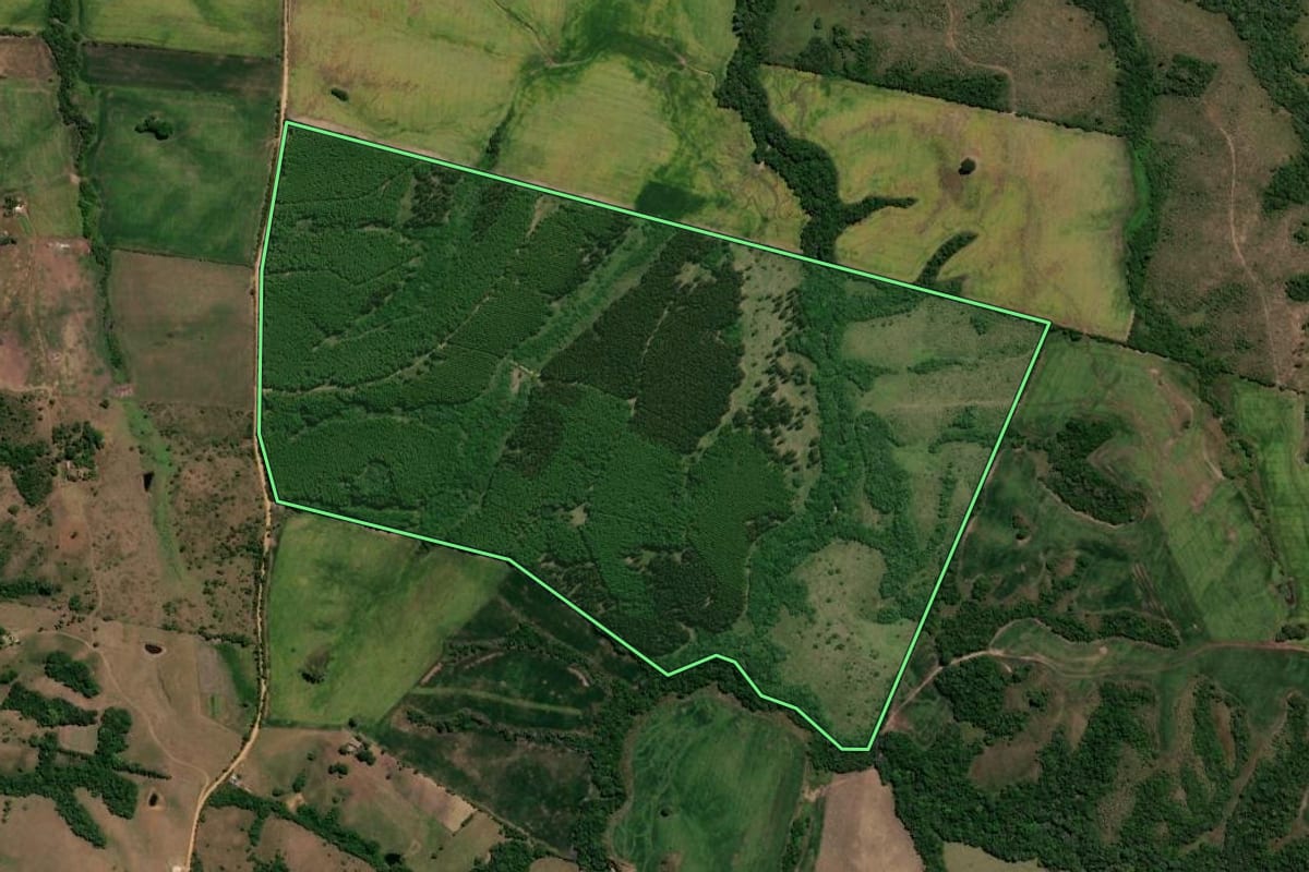 Imagem de satélite do imóvel rural em São Gabriel (RS), com o contorno declarado no CAR desenhado por cima.