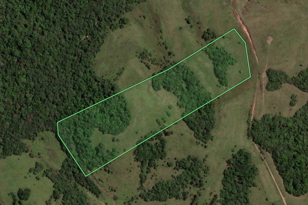 Imagem de satélite do imóvel rural em São Gabriel (RS), com o contorno declarado no CAR desenhado por cima.