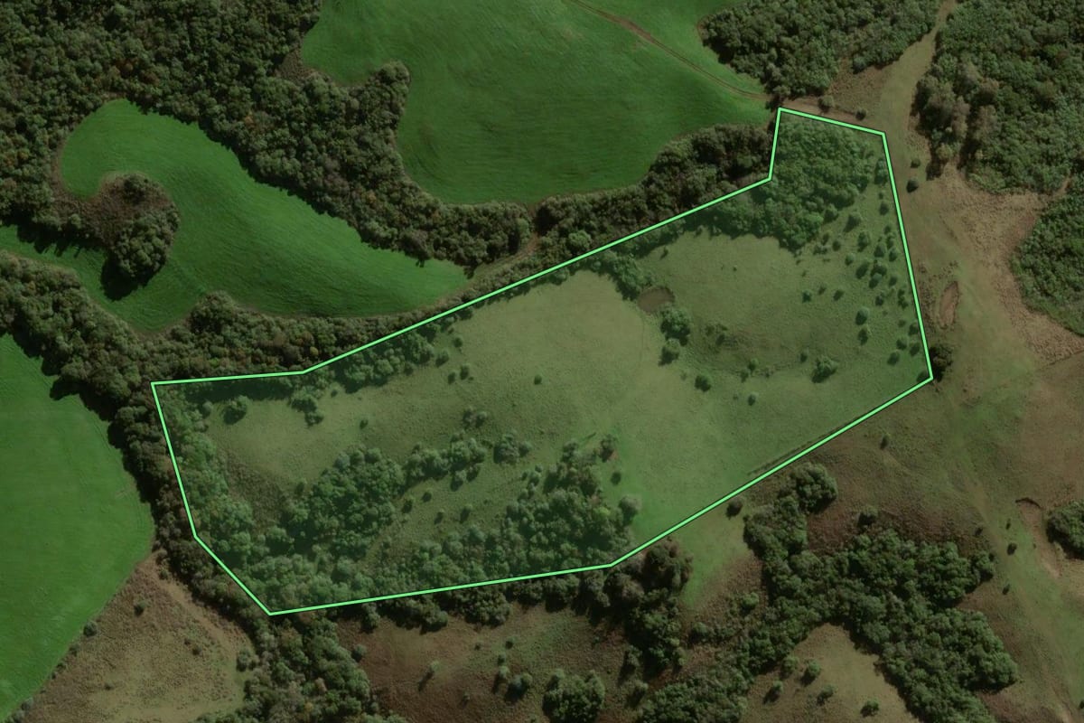 Imagem de satélite do imóvel rural em São Gabriel (RS), com o contorno declarado no CAR desenhado por cima.