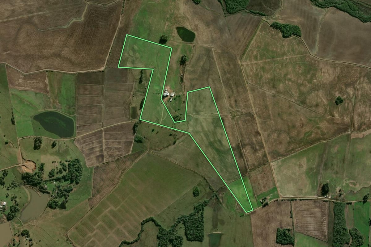 Imagem de satélite do imóvel rural em São Gabriel (RS), com o contorno declarado no CAR desenhado por cima.