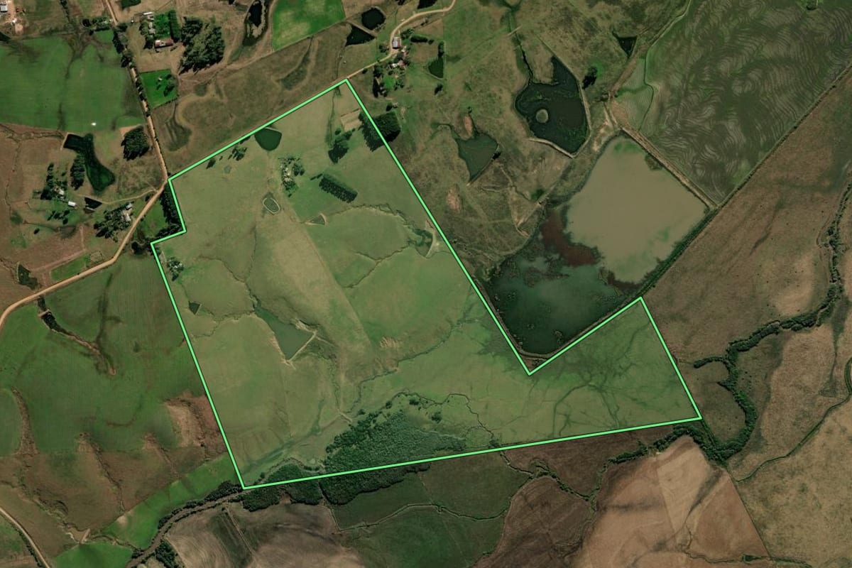 Imagem de satélite do imóvel rural em São Gabriel (RS), com o contorno declarado no CAR desenhado por cima.
