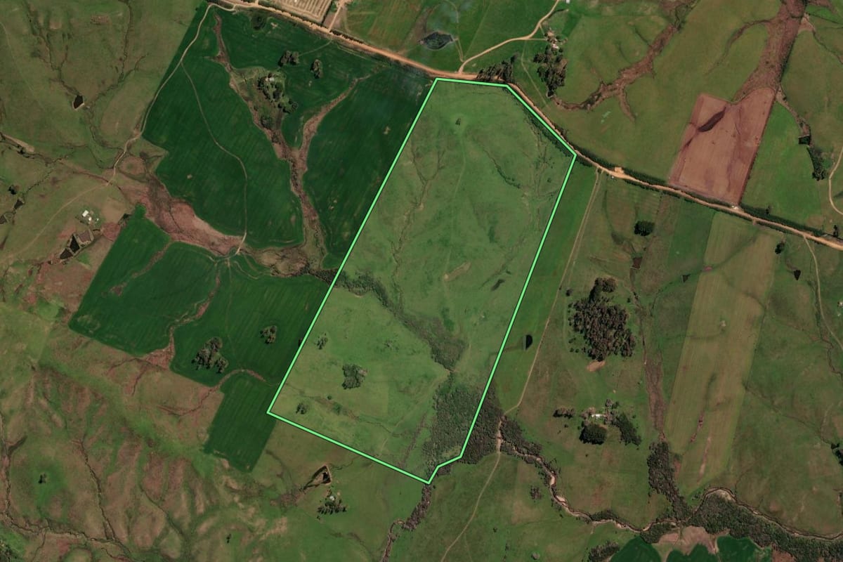 Imagem de satélite do imóvel rural em São Gabriel (RS), com o contorno declarado no CAR desenhado por cima.