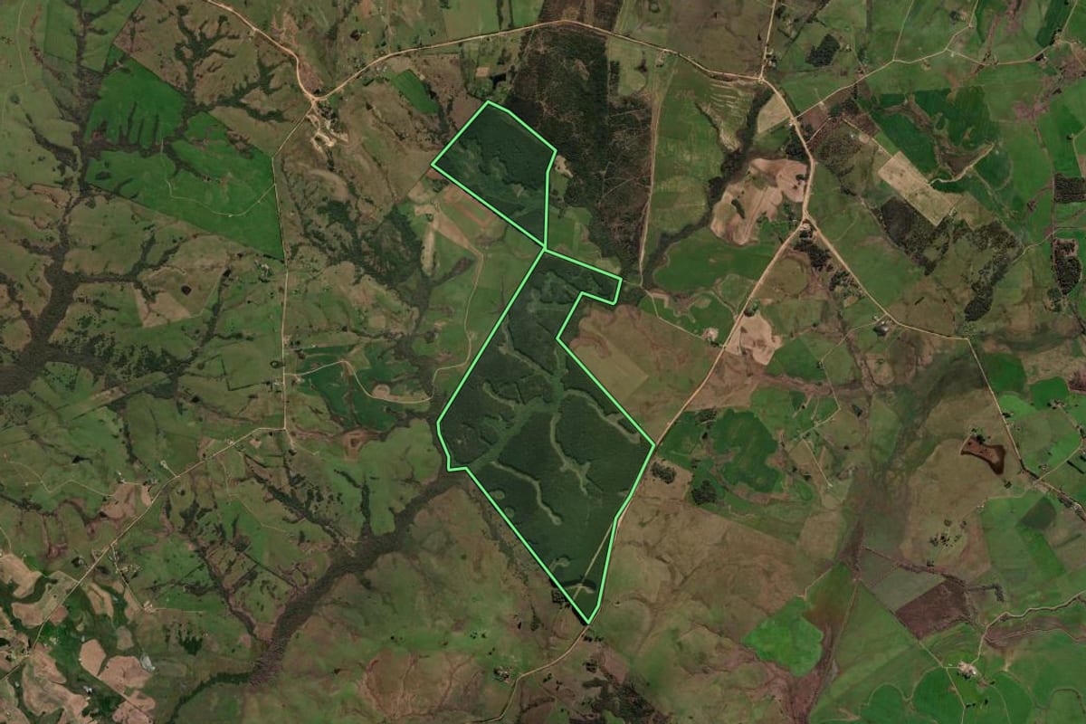 Imagem de satélite do imóvel rural em São Gabriel (RS), com o contorno declarado no CAR desenhado por cima.
