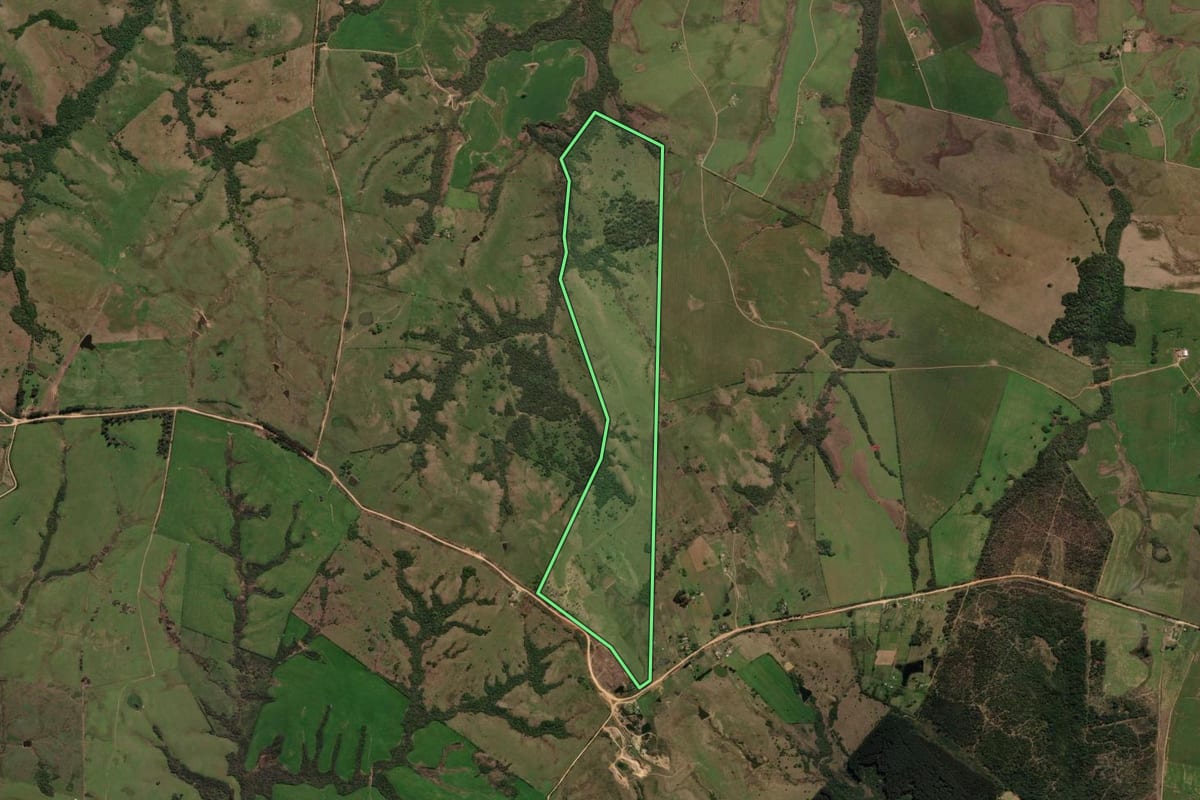 Imagem de satélite do imóvel rural em São Gabriel (RS), com o contorno declarado no CAR desenhado por cima.