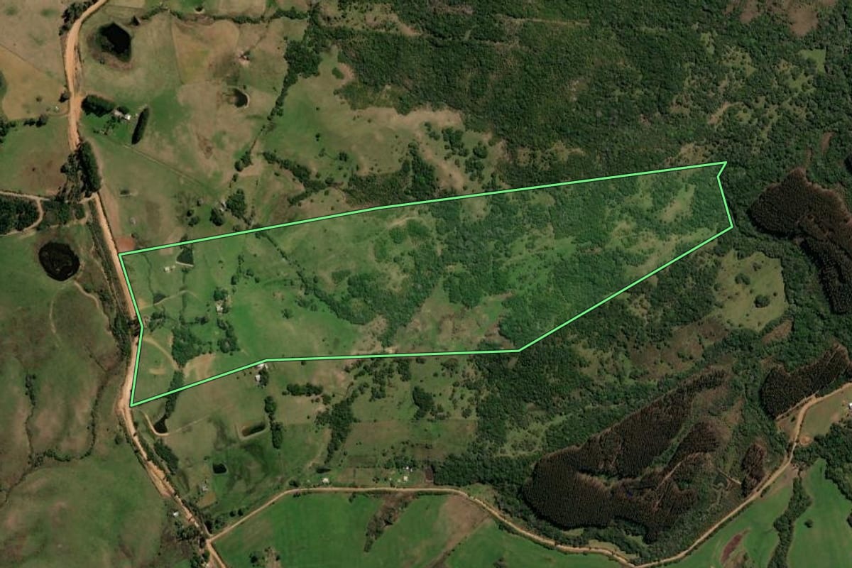 Imagem de satélite do imóvel rural em São Gabriel (RS), com o contorno declarado no CAR desenhado por cima.