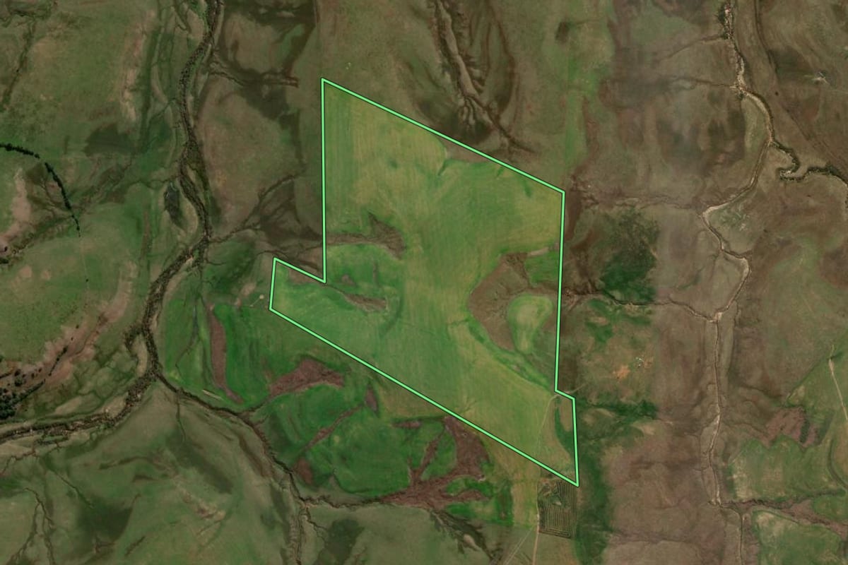 Imagem de satélite do imóvel rural em São Gabriel (RS), com o contorno declarado no CAR desenhado por cima.