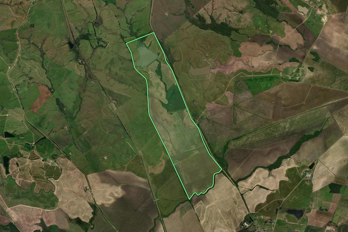 Imagem de satélite do imóvel rural em São Gabriel (RS), com o contorno declarado no CAR desenhado por cima.