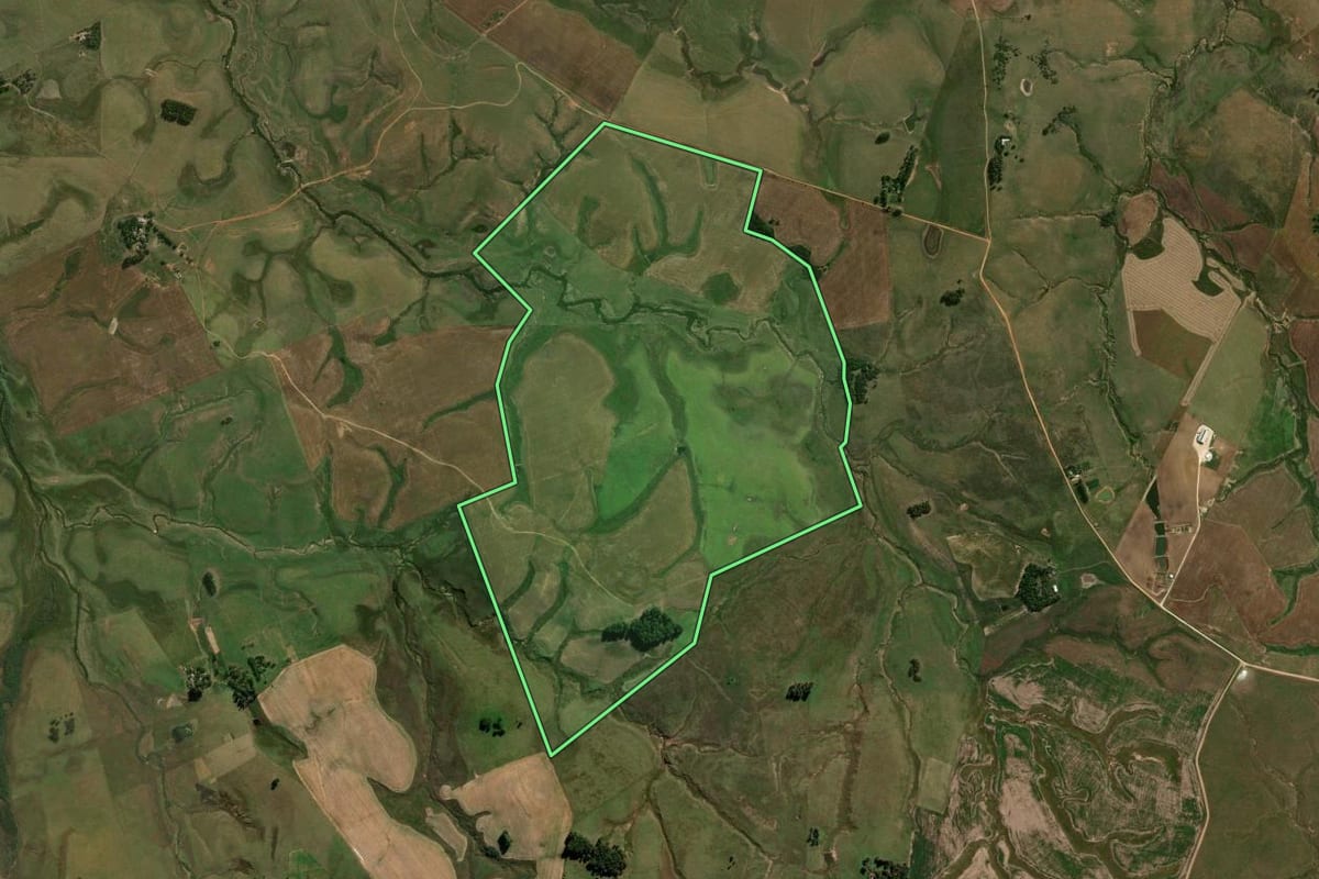 Imagem de satélite do imóvel rural em São Gabriel (RS), com o contorno declarado no CAR desenhado por cima.