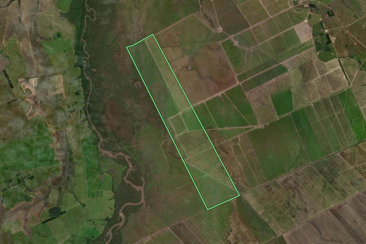 Imagem de satélite do imóvel rural em São Gabriel (RS), com o contorno declarado no CAR desenhado por cima.