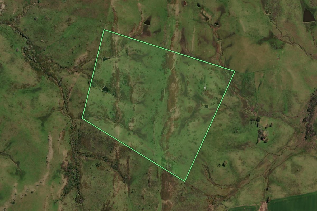 Imagem de satélite do imóvel rural em São Gabriel (RS), com o contorno declarado no CAR desenhado por cima.