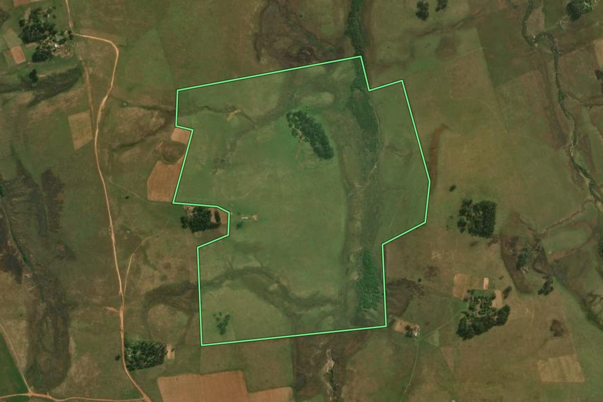 Imagem de satélite do imóvel rural em São Gabriel (RS), com o contorno declarado no CAR desenhado por cima.