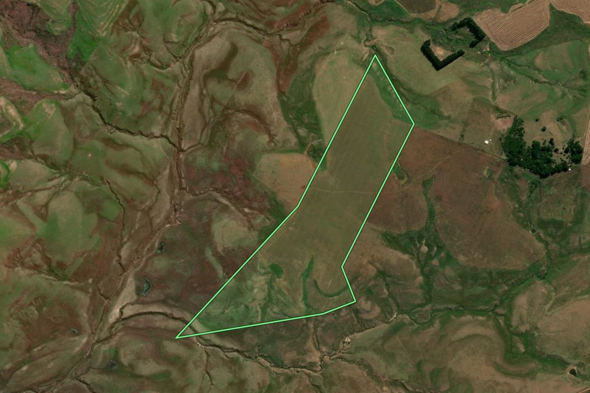 Imagem de satélite do imóvel rural em São Gabriel (RS), com o contorno declarado no CAR desenhado por cima.