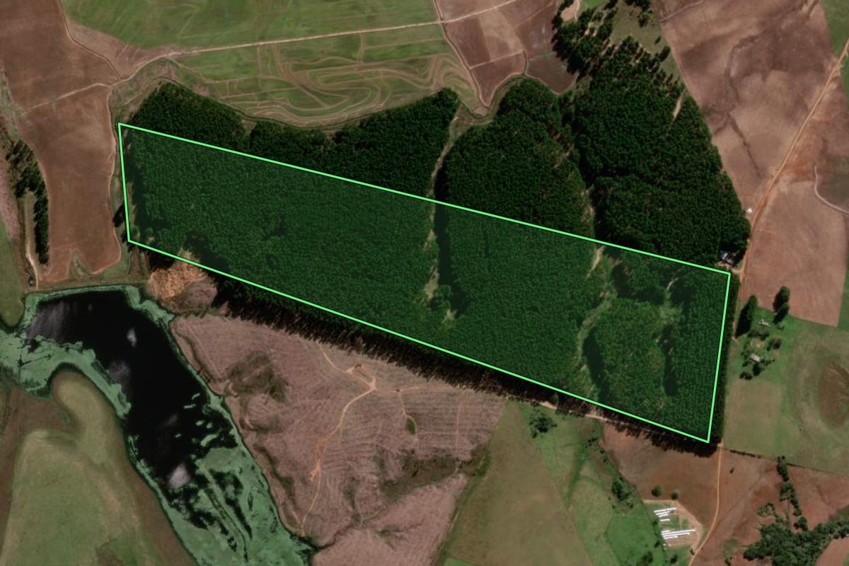 Imagem de satélite do imóvel rural em São Gabriel (RS), com o contorno declarado no CAR desenhado por cima.