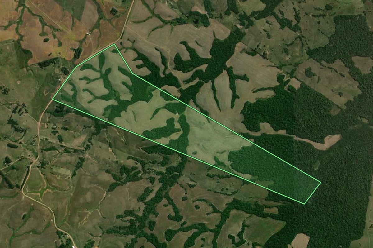 Imagem de satélite do imóvel rural em São Gabriel (RS), com o contorno declarado no CAR desenhado por cima.