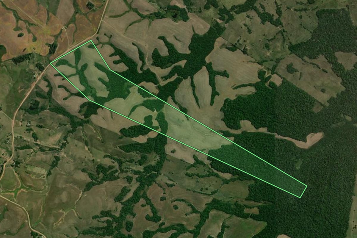 Imagem de satélite do imóvel rural em São Gabriel (RS), com o contorno declarado no CAR desenhado por cima.